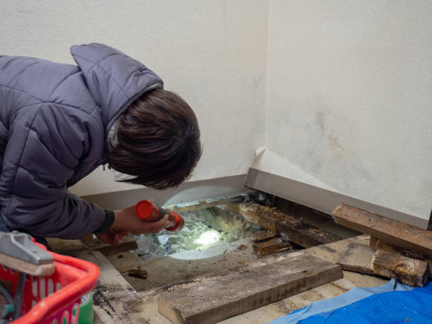 Mold Remediation for Rental Properties in Key West, FL