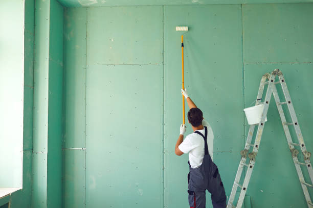 Best Basement Mold Removal  in Key West, FL