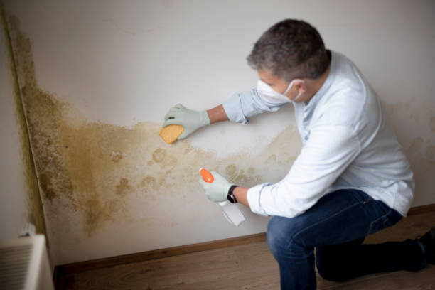 Best Mold Documentation for Insurance Claims  in Key West, FL