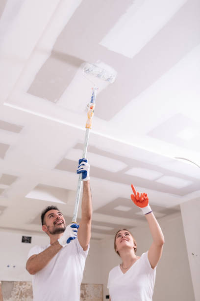 Best Emergency Mold Remediation  in Key West, FL