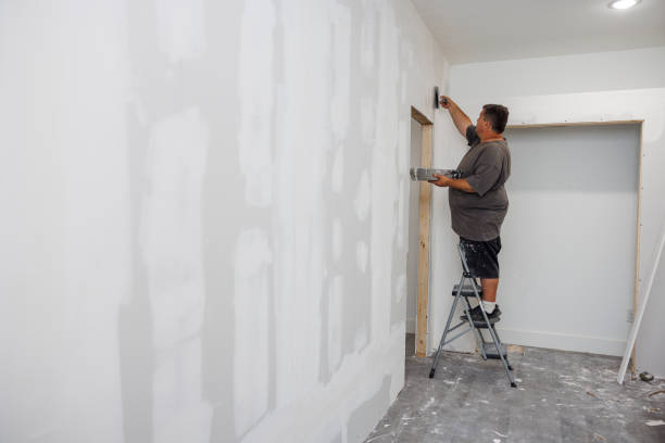  Key West, FL Mold Removal Pros