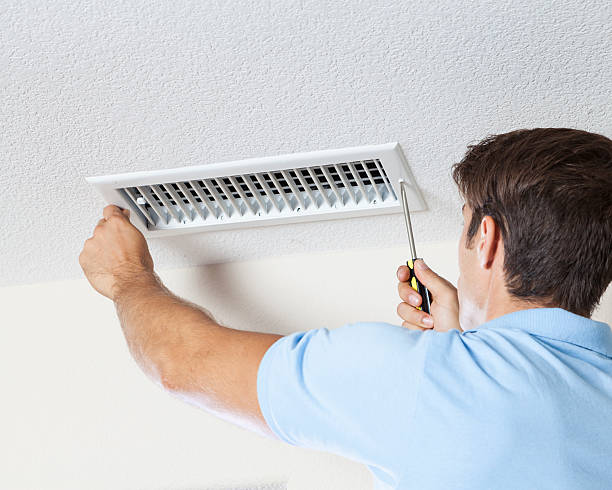 Best Mold Damage Restoration  in Key West, FL