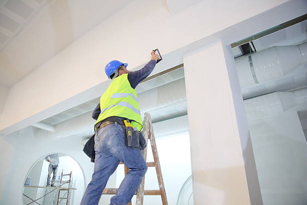Best Attic Mold Removal  in Key West, FL
