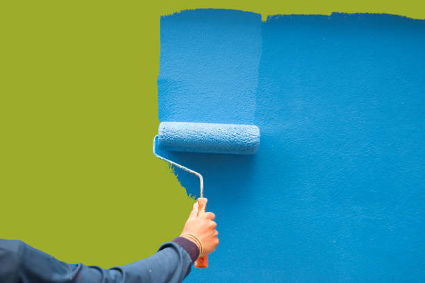 Best Comprehensive Air Testing for Mold Contaminants  in Key West, FL