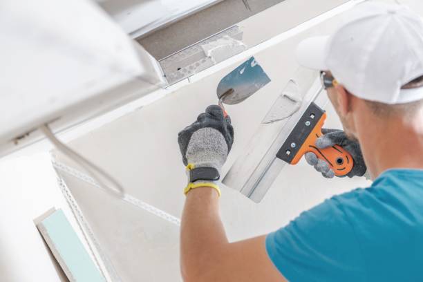 Best Dehumidification Services  in Key West, FL